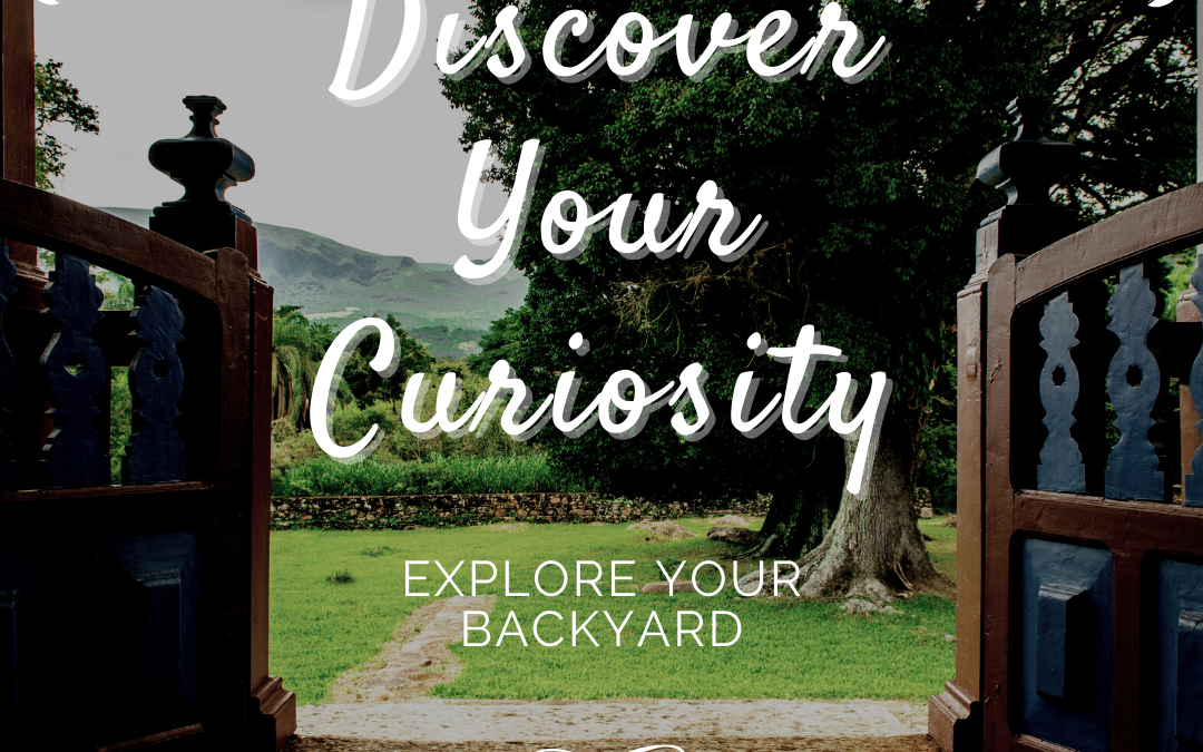 How To Discover Curiosity in Your Backyard