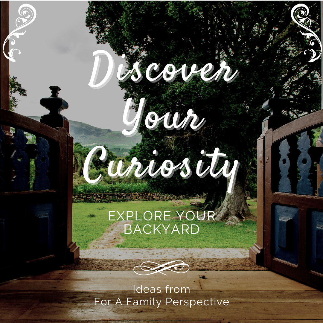 An invitation to go into your backyard and discovery your curiosity!