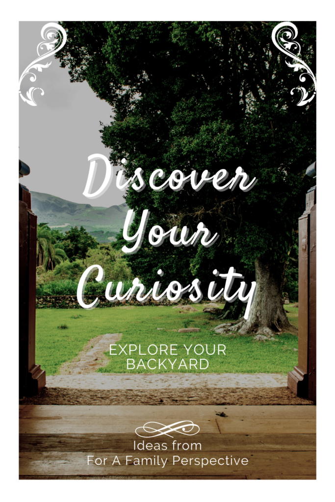 Discover Your Curiosity