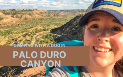 Camping With A Dog In Palo Duro Canyon