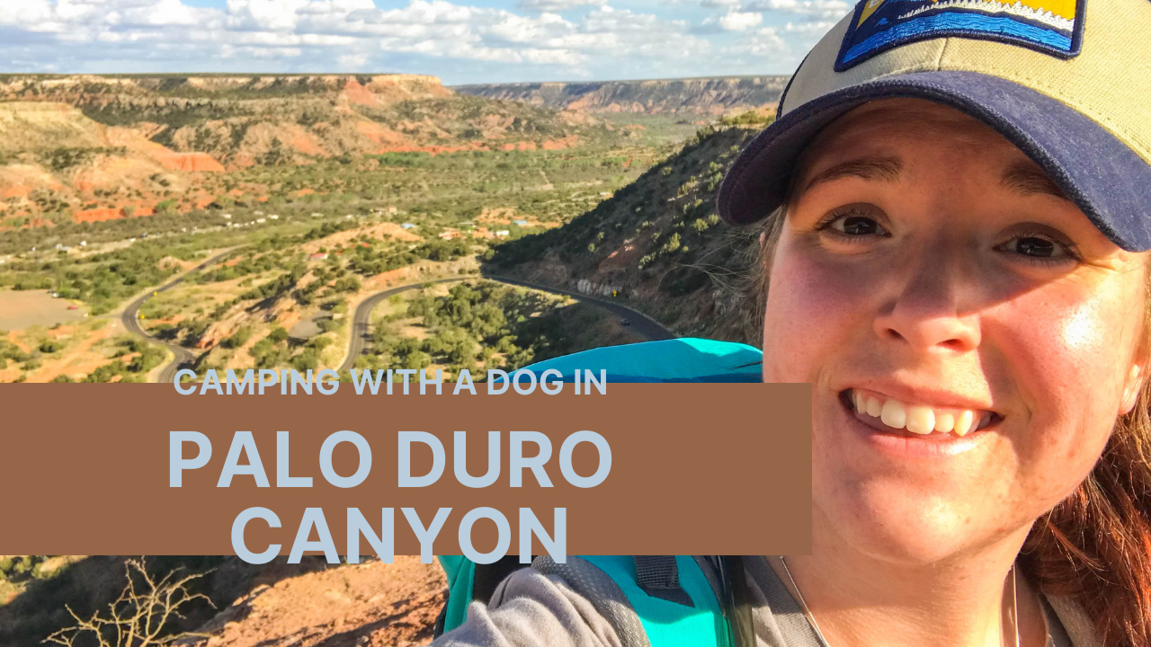 Camping with a. dog in Palo Duro Canyon