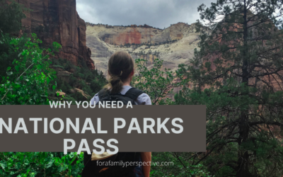 Why You Need A National Parks Pass