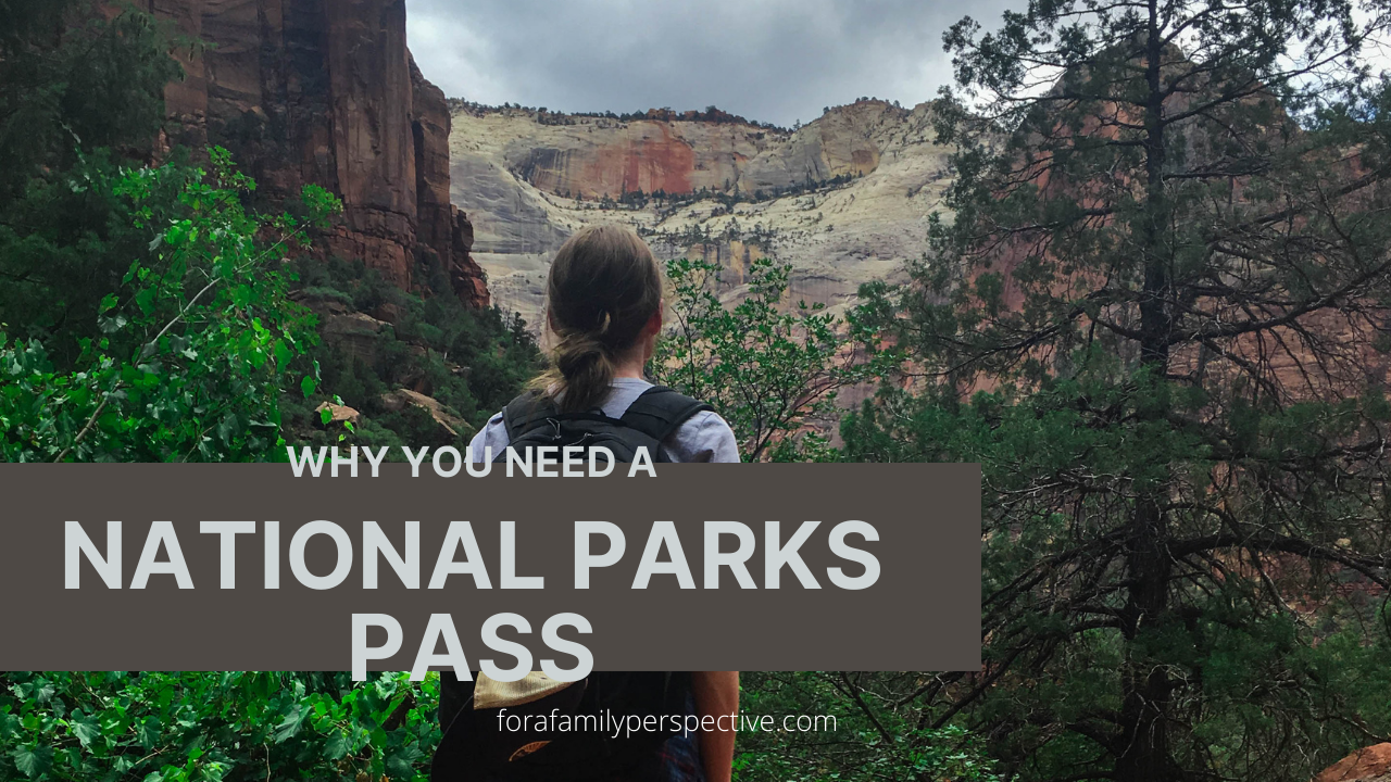 Why you need a National Parks Pass