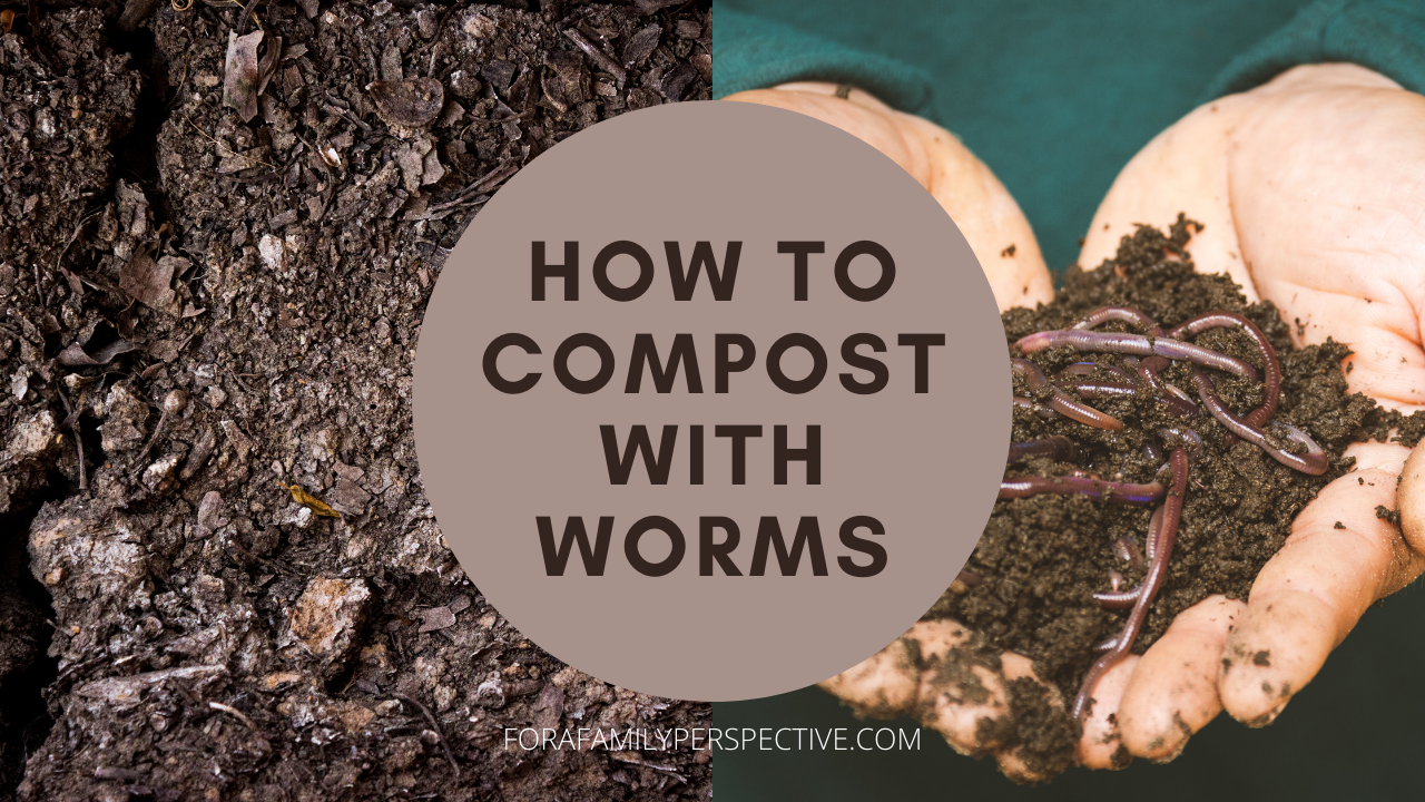 Composting with worms