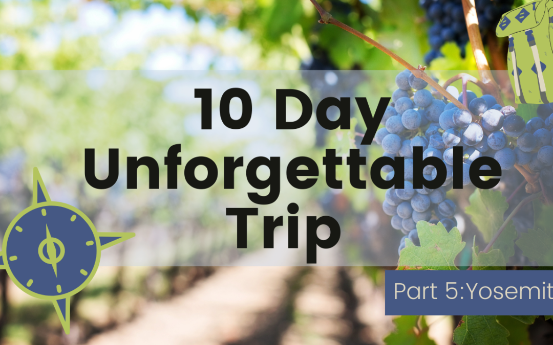 San Francisco & Napa Valley: An Unforgettable Epic 10 Day Road Trip Pt:6